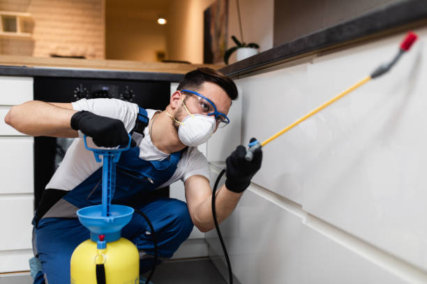 Best Pest Control Near Me  in Barnsdall, OK