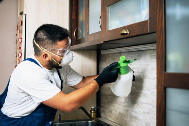 Best Affordable Pest Control Services  in Barnsdall, OK