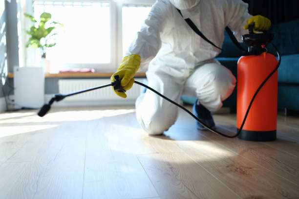 Best Termite Control Services  in Barnsdall, OK