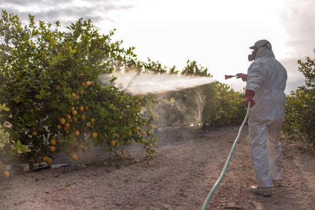 Best Emergency Pest Control  in Barnsdall, OK