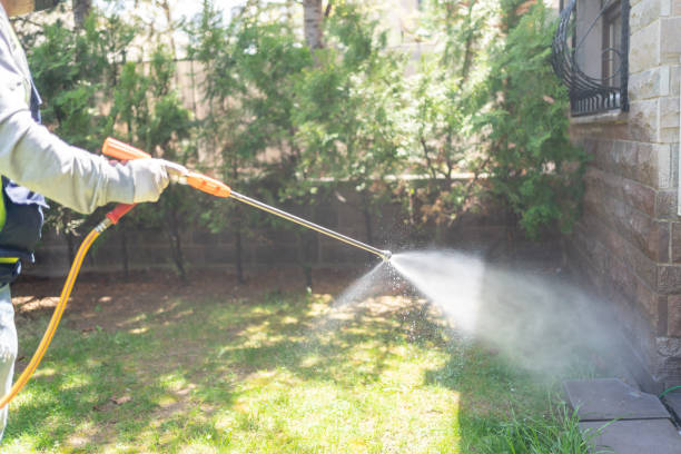 Best Spider Control Near Me  in Barnsdall, OK