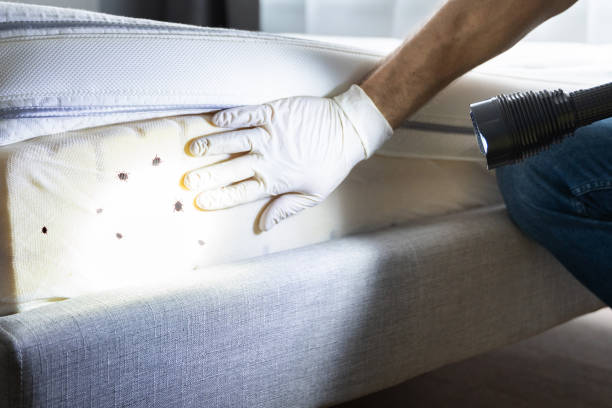 Best Pest Control Near Me  in Barnsdall, OK