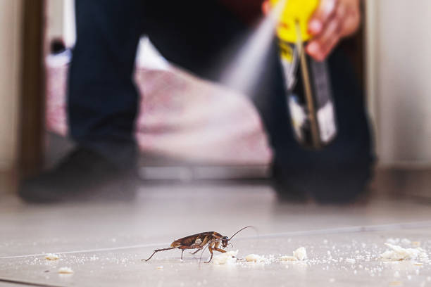 Professional Pest Control in Barnsdall, OK
